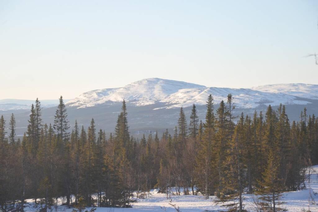 Log Cabin in nature - Situated in Trillevallen- Åre Undersåker Esterno foto